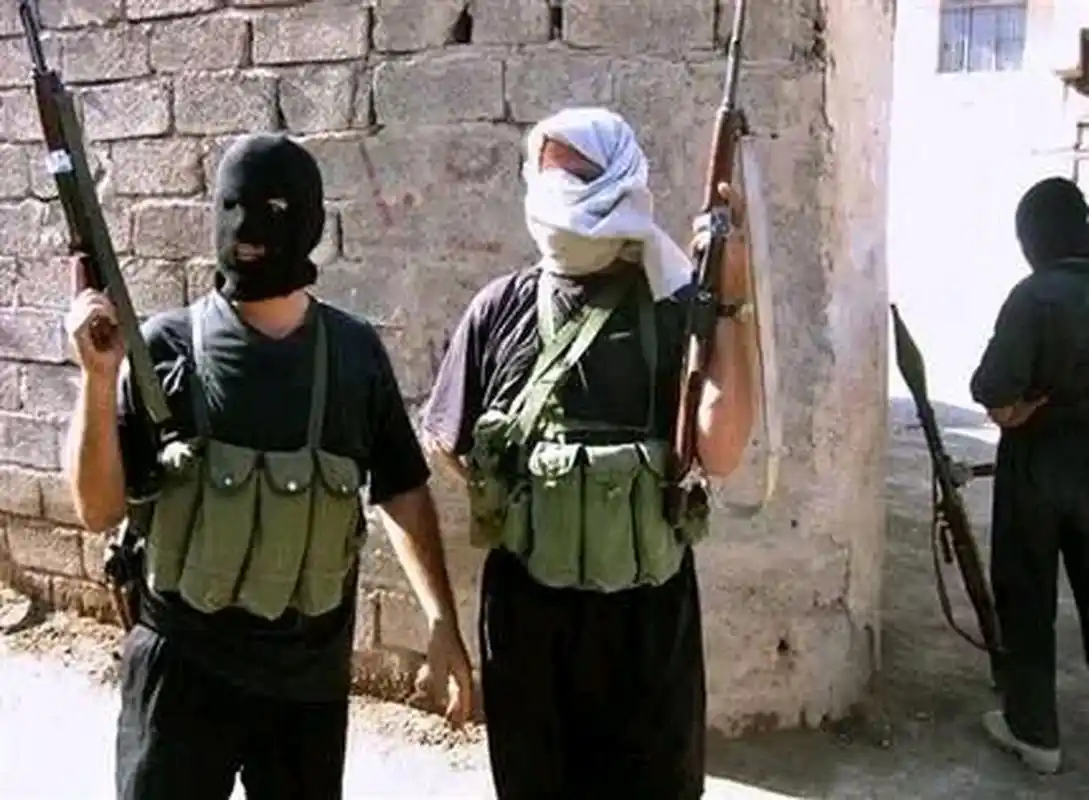 中国网友冒充专家诈骗叙利亚恐怖分子,竟成功骗取15万美金,恐怖分子气