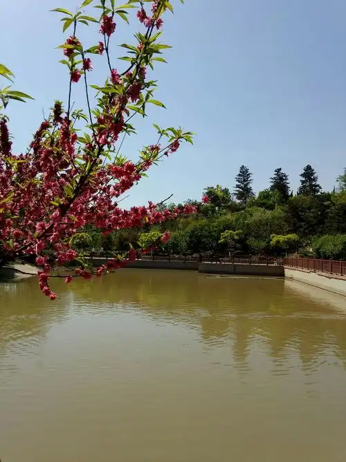 龙港公园风景美如画