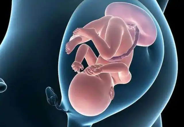 "大头朝下"这个胎位看似最普遍,但胎儿最后想以这个姿势出生并不简单.