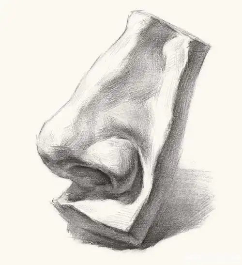 超强干货,从结构来学习素描鼻子的刻画细节