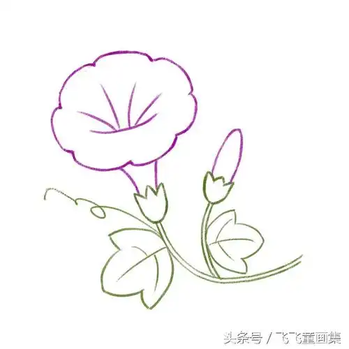 如何画小喇叭简笔画,简笔画的喇叭怎么画(画一朵美丽的牵牛花)