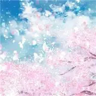 樱花图片唯美头像唯美梦幻樱花飘落图片头像