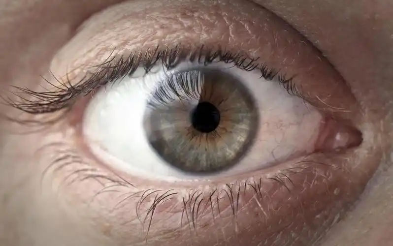 唯美池塘里的青蛙背景图片绿蛇的眼睛白色背景上有个女士眼睛的特写