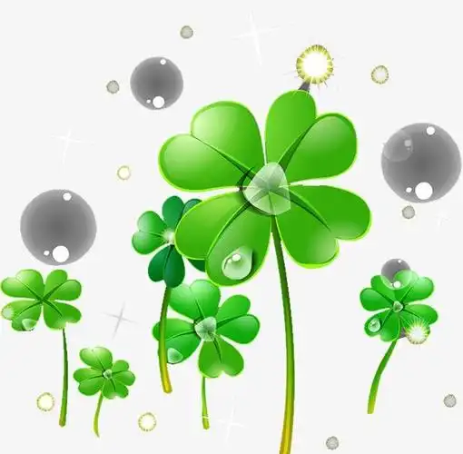 四叶草的含义(四叶草代表什么意思 四叶草的含义)