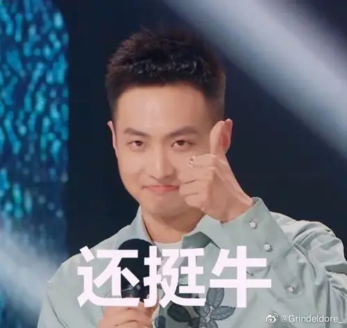 建一栋cv沙雕向表情包楼吧