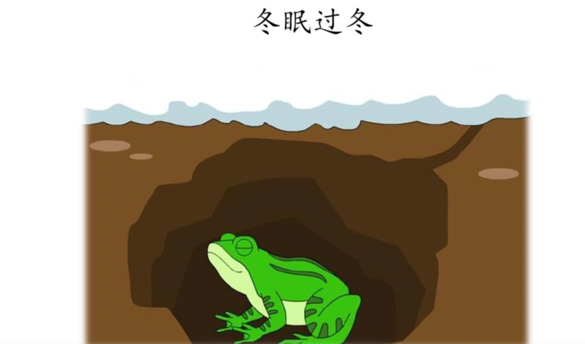 很多植物会落叶,动物会休眠,有的称作冬眠