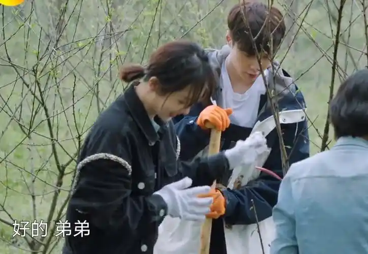 《向往的生活5》:张艺兴杨紫氛围感奇妙,何炅一语道破关键