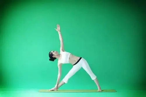 瑜伽之光体式分享3~三角伸展式 utthita trikonasana