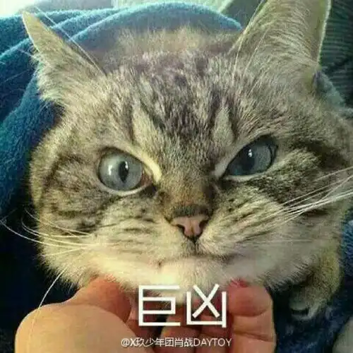 发现每一个表情包加上战战的水印就会变得格外可爱(肖战用过的表情包