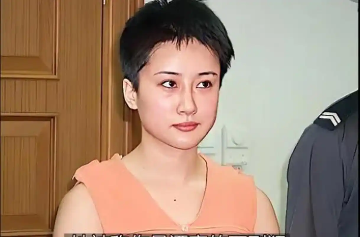 在争执之下,空姐失去了理智,刺死了富商!杨洋被捕后被判死刑!