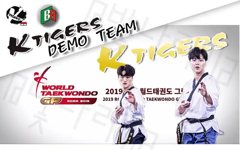 韩国虎队k-tigers.2019世界跆拳道格兰弗利自由品势第1名比赛获奖展示