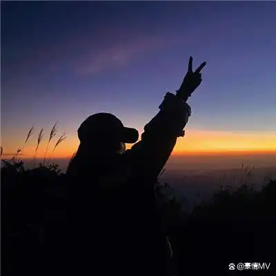 不露脸的颜值超高女头_超耐看的不露脸女生头像