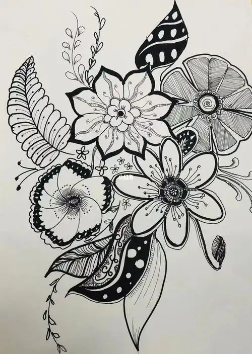 一起来画神奇植物吧56岁线描课05