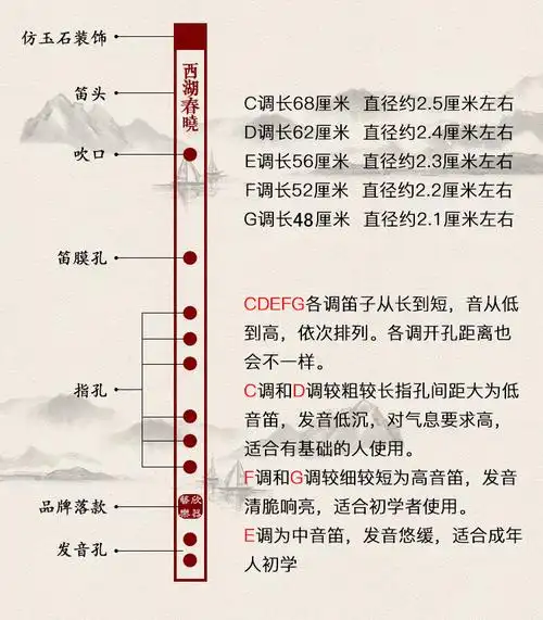 伊薇 富之典笛子初学横笛 一节零基础入门古风乐器efg苦竹笛白紫黑色