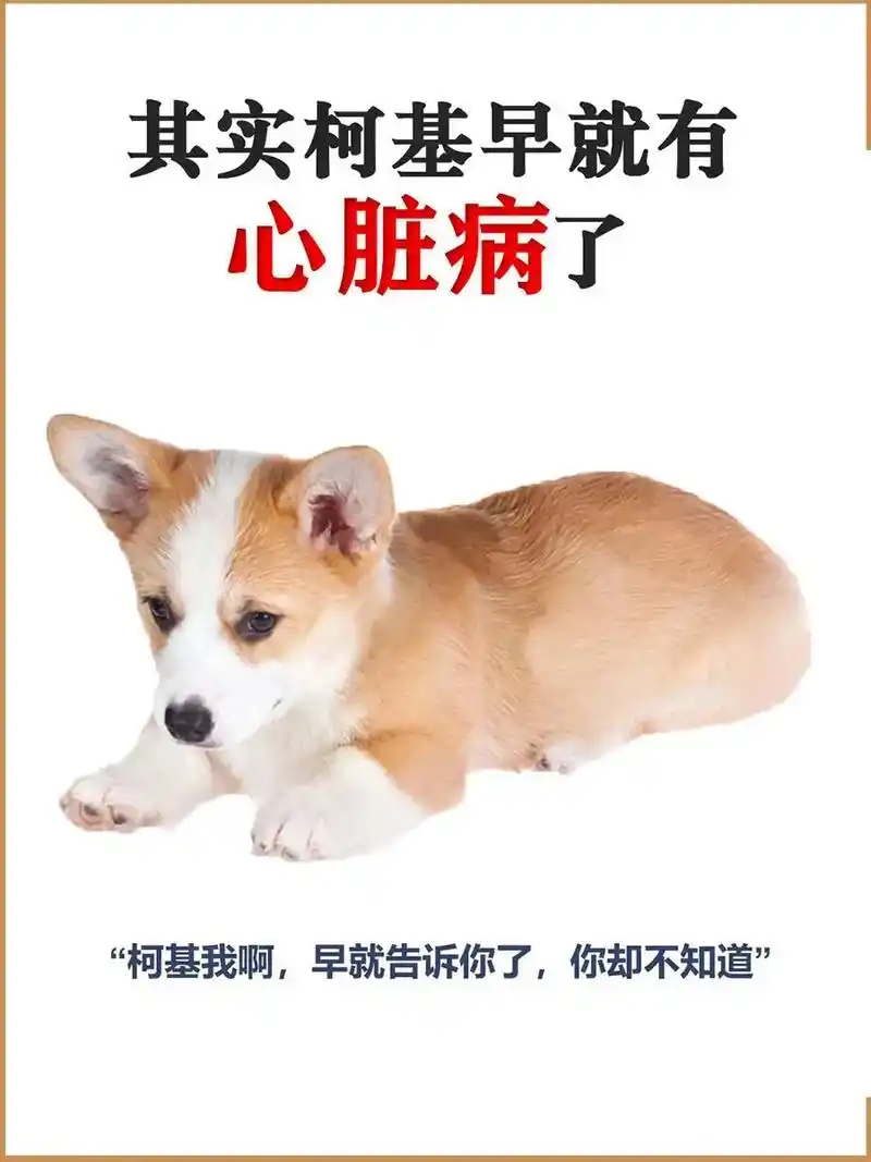 狗狗生病了不能直接 - 抖音