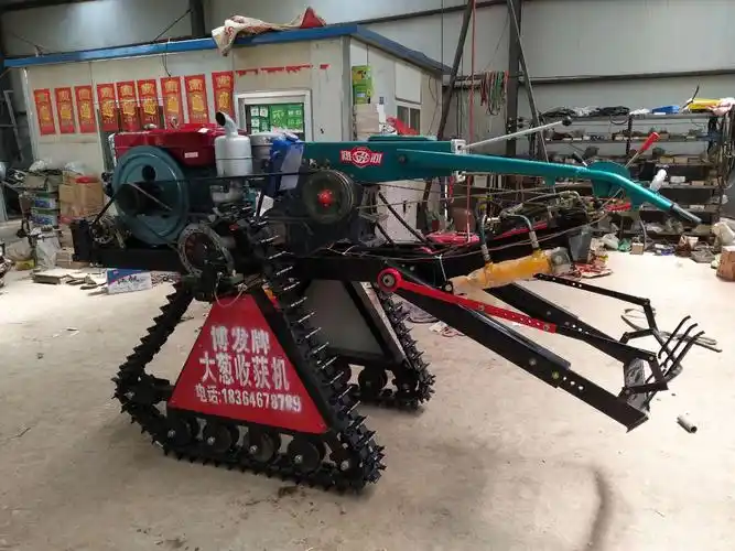 出姜机哪家好|热荐高品质大姜收获机质量可靠