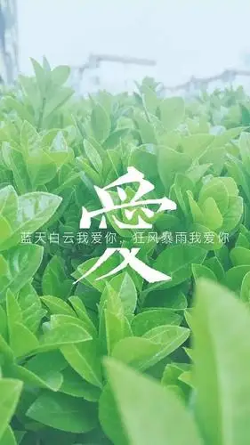 【文字控】高逼格伤感文字手机壁纸