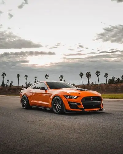 福特mustang眼镜蛇gt500