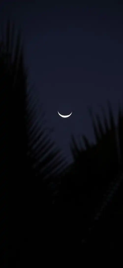 丰富一下你的手机壁纸#你的壁纸该换了