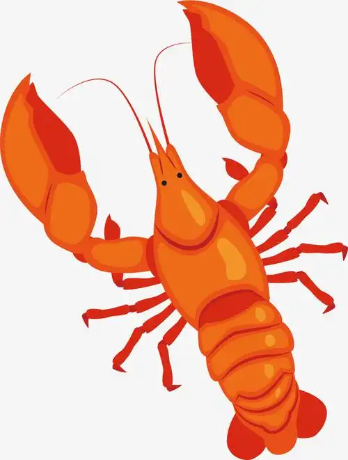 矢量图橘色的小龙虾