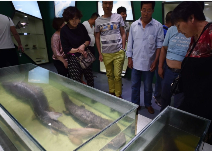 有的凶手,犯了法以后,就会把尸体,浸泡在福尔马林里面.