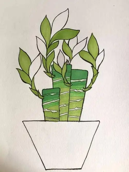 马克笔教程|零基础学画富贵竹盆栽