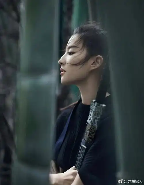 刘亦菲之高马尾篇