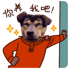 狗狗你养我吧叼着花耍酷gif动图_动态图_表情包下载_soogif