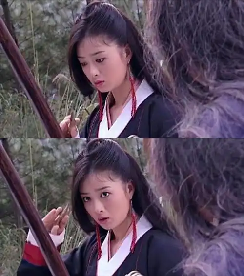 国内电视剧天龙八部中美女演员(03版天龙八部女演员)(5)