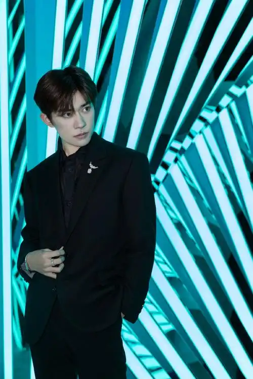 易烊千玺石上鸟胸针