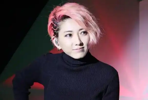 当年她在《快乐女声》的往事也被反复提及,洪辰,杨洋,段林希等超女也