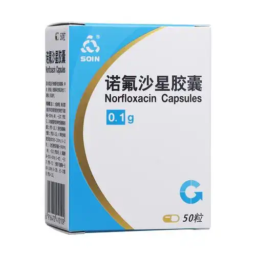 诺氟沙星胶囊