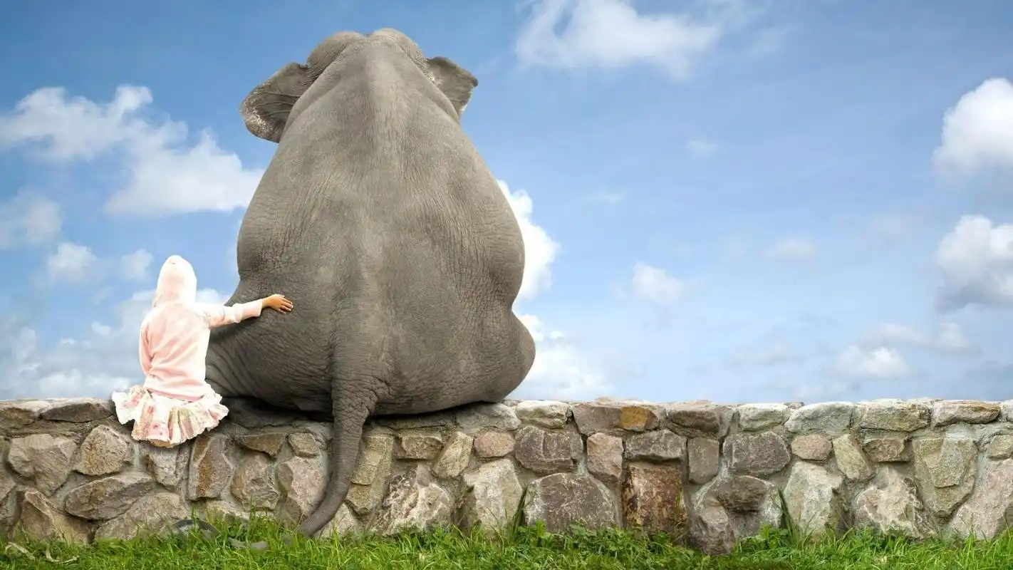 大象憨态可爱高清桌面壁纸