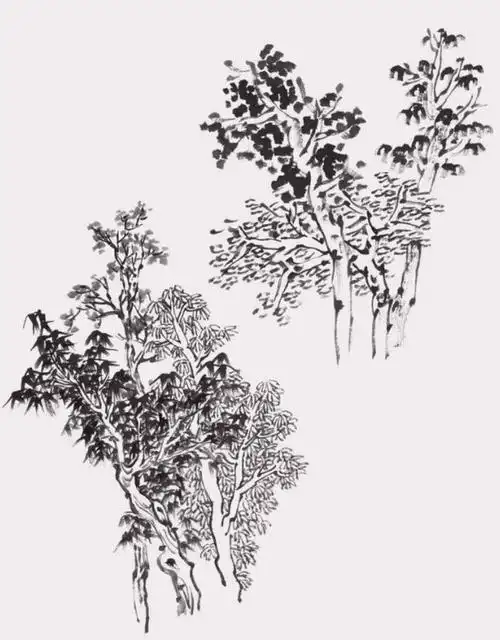 山水画中丛树的画法,主客关系要注意!