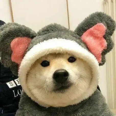 动物头像第22期帅气动物头像这不就是大学同学吗