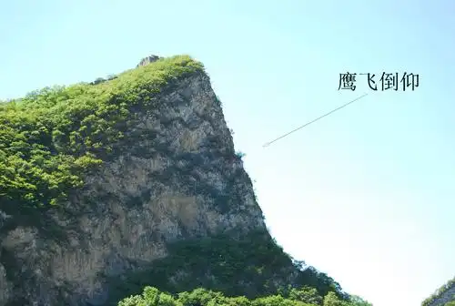 鹰飞倒仰——西坡 这地方,据西栅子村里的老百姓讲 吃掉了不少属鸡的