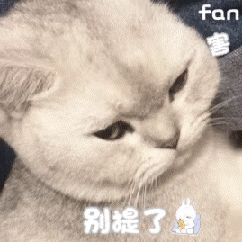 表情包可爱萌宠gif