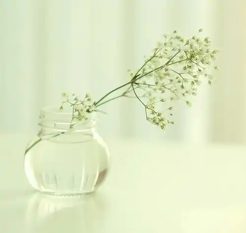 静物图片空间图片唯美图片意境小清新图片 - 唯美生活网