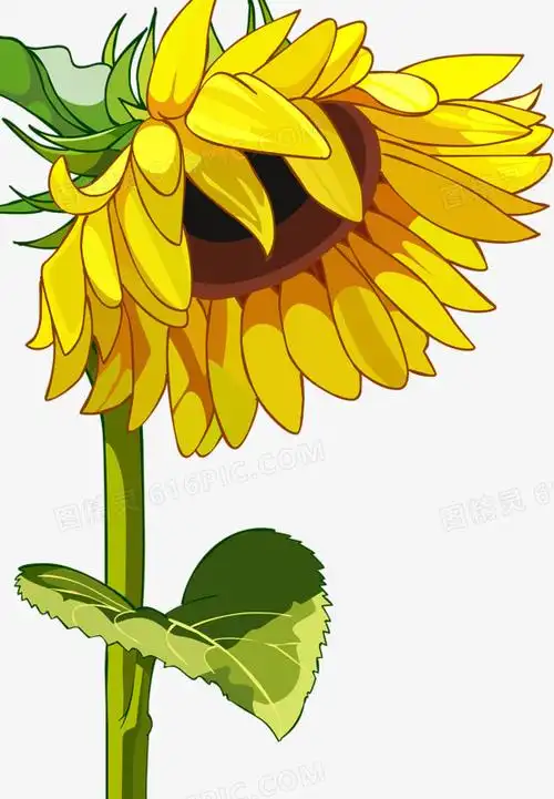 图案手绘图标树手绘手绘高跟鞋坚果手绘手绘桃心卡通向日葵手绘向日葵