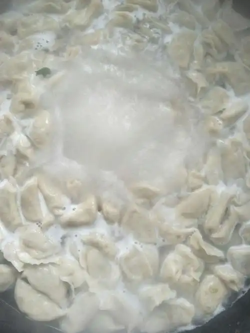 煮饺子喽
