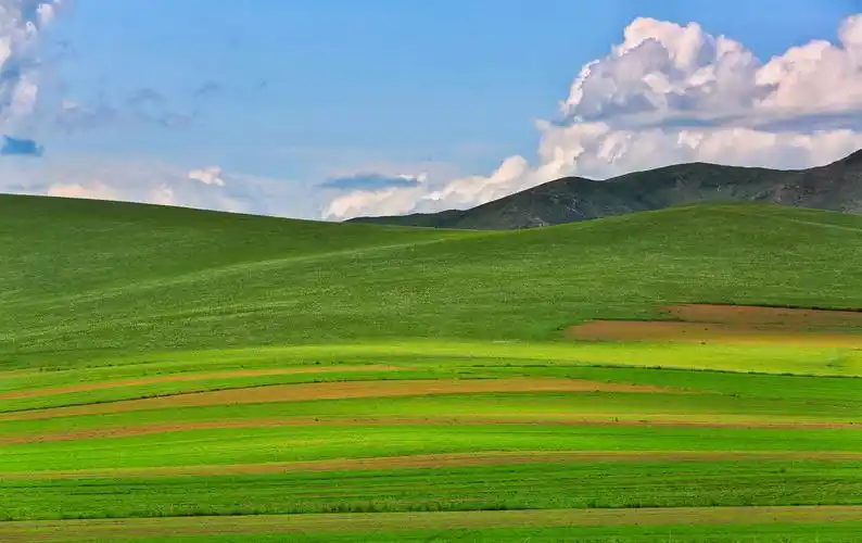 天下最美的草原