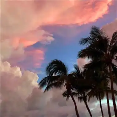 很治愈的小清新唯美风景头像图片