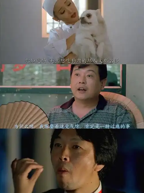 今天想和大家分享一部众星云集的经典老电影——《甲方乙方》