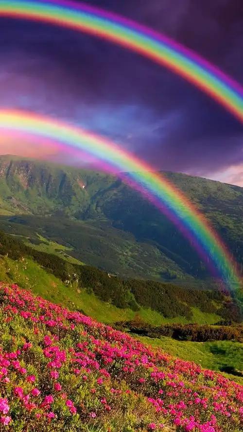 自然景观,山,花,彩虹