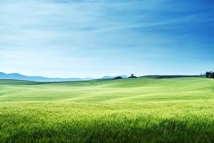 意大利托斯卡纳蓝色天空下一望无际的绿色草地