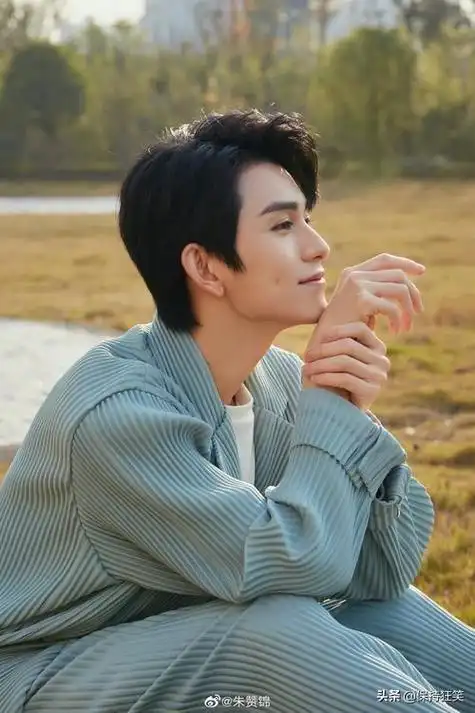 朱赞锦,出生于海南省海口市,中国内地男演员,毕业于北京师范大学舞蹈