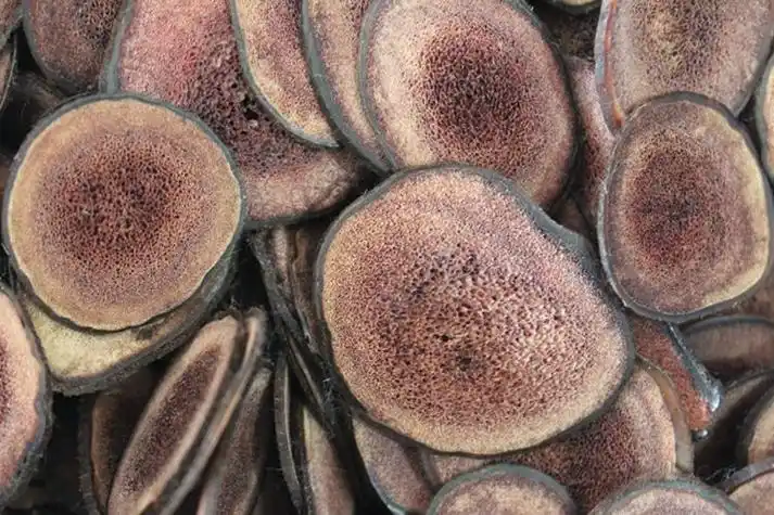 p>马鹿茸,又名茸角,东马茸,西马茸,是动物马鹿的雄鹿未骨化密生茸毛