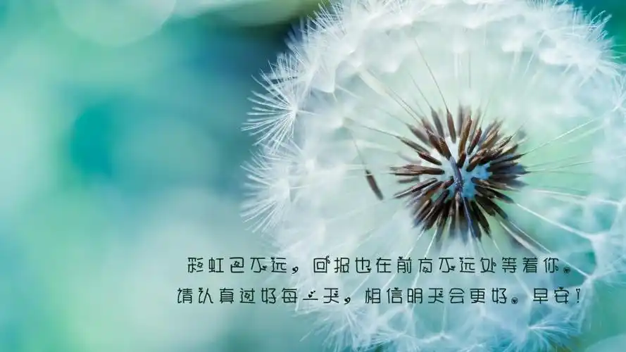 早安心语励志的一句话图片,高清壁纸图片,非主流-回车桌面