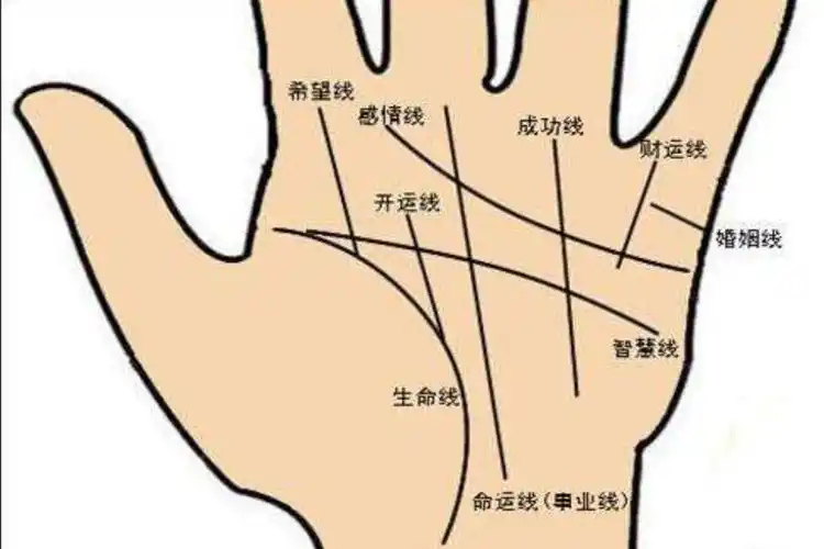 我是盲人看不见,你可以自己看,你的生命线在接近