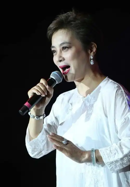 音你而来星动全城邢台体育馆甜歌皇后李玲玉